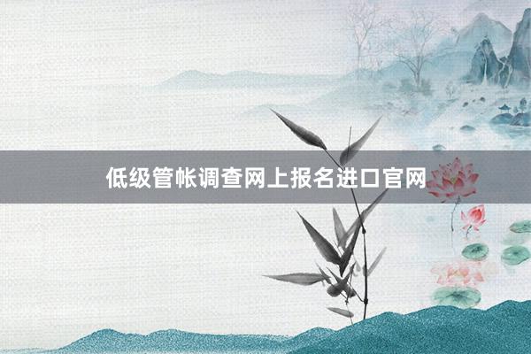 低级管帐调查网上报名进口官网