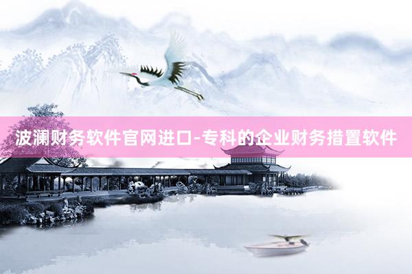 波澜财务软件官网进口-专科的企业财务措置软件