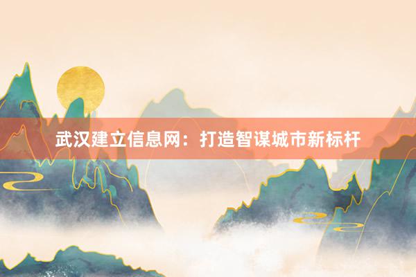 武汉建立信息网：打造智谋城市新标杆